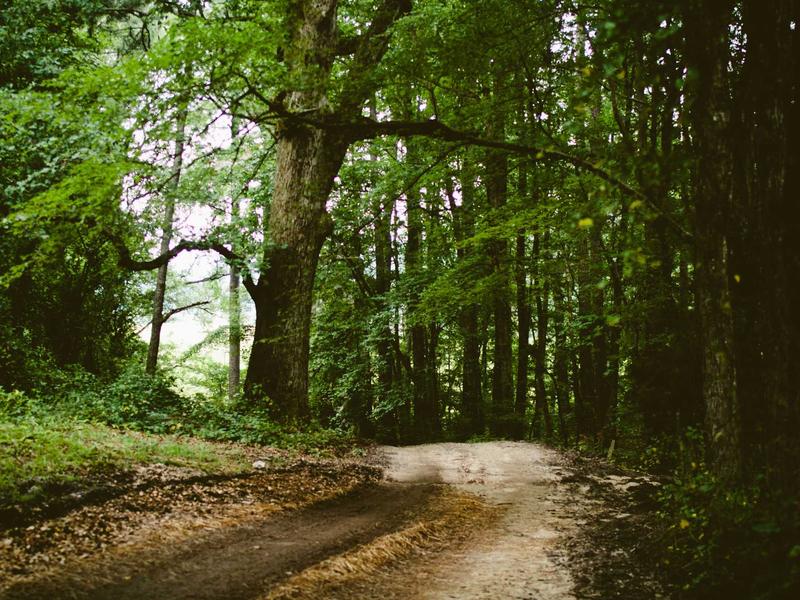 android screenshot 3